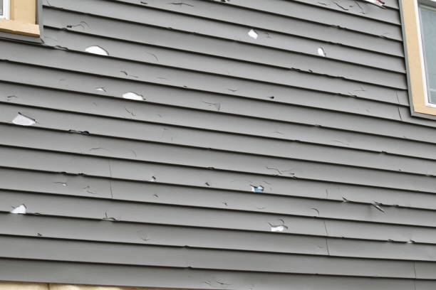 Affordable Siding Repair and Maintenance Services in Palos Hills, IL