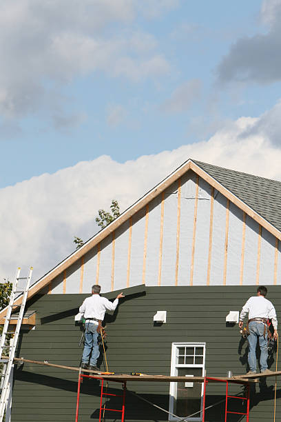 Best Custom Siding Design  in Palos Hls, IL