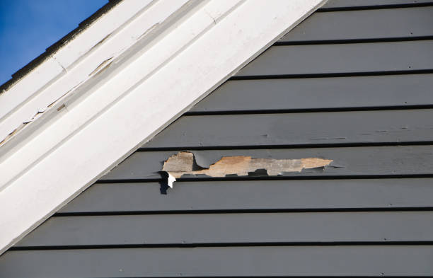 Professional Siding Installation in Palos Hills, IL