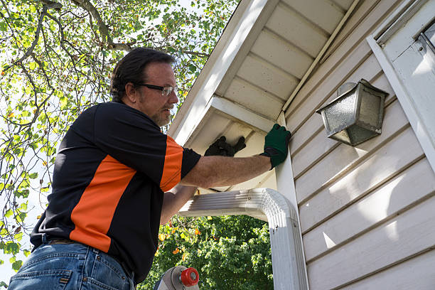 Best Siding Painting and Refinishing  in Palos Hls, IL